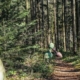 Fokus auf die wichtigsten zwei bis drei Motive - Darstellung von übergroßen Kegeln aus Holz an einem lichten Waldweg