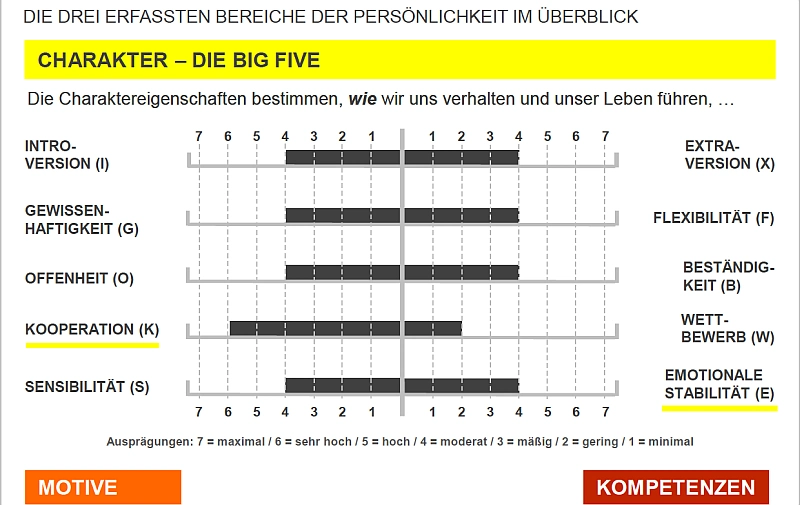 Grafische Darstellung der Ergebnisse aus dem LINC Personality Profiler für die 5 Dimensionen der Big Five